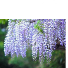 ゴールデンウィーク休業のお知らせ