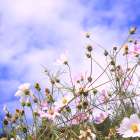 秋の気配とともに、仕事のリズムを整える